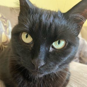 Meet your Posher, Kerry